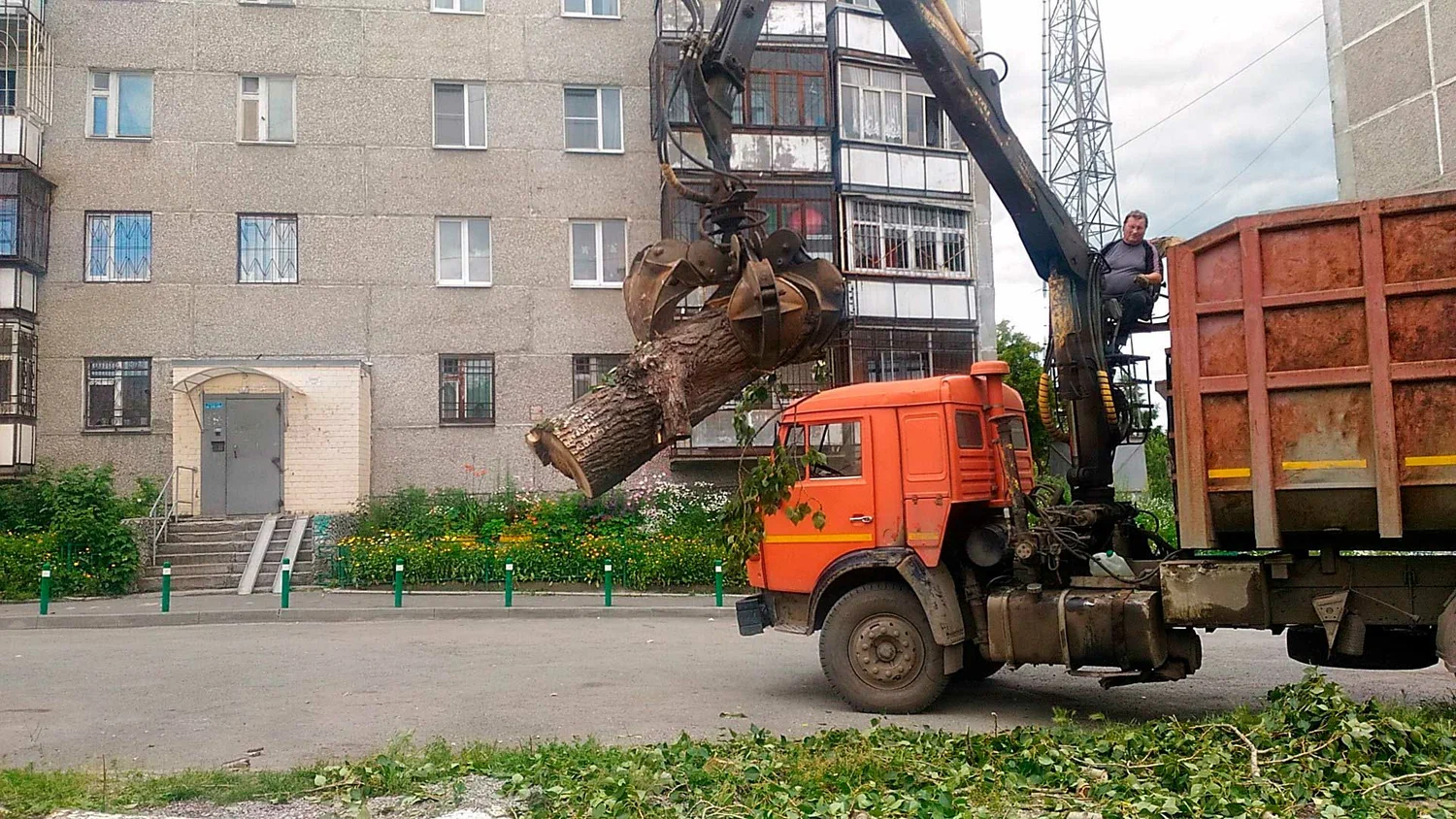 Вывоз спиленных веток и деревьев в Саратове от ПроМусор: порубочные остатки, утилизация, цена от 2968 руб
